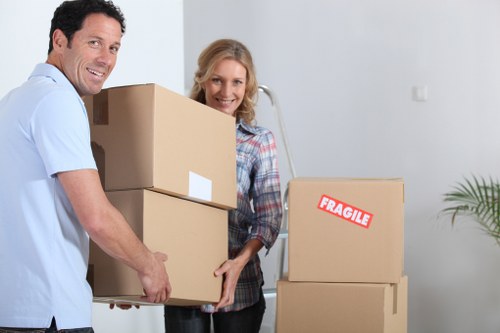 Selection of packing materials and moving boxes for Putney relocations